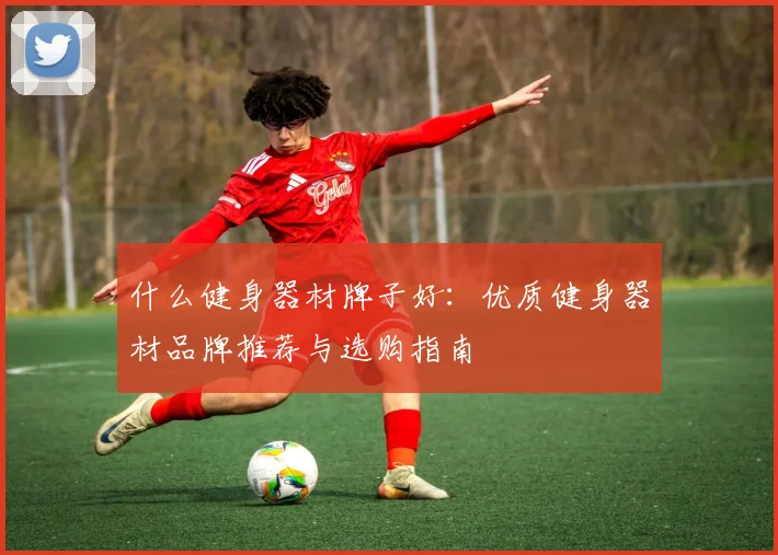 什么健身器材牌子好：优质健身器材品牌推荐与选购指南