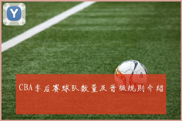 CBA季后赛球队数量及晋级规则介绍