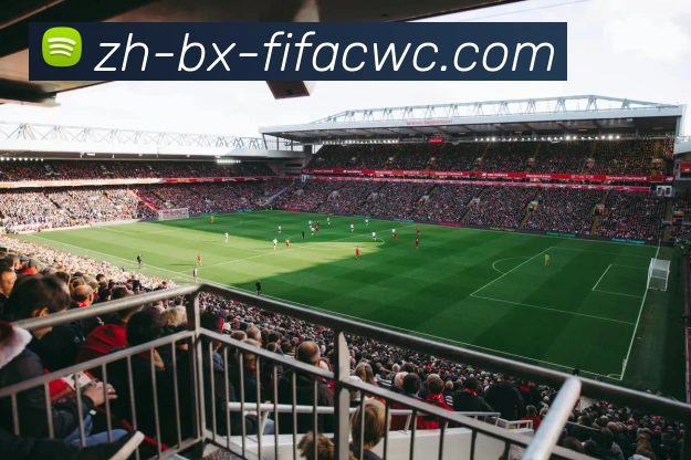 世界杯在线观看品牌故事