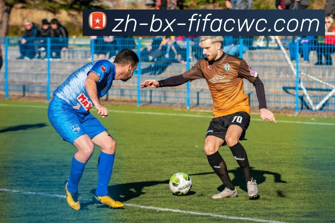 世界杯在线观看服务体系