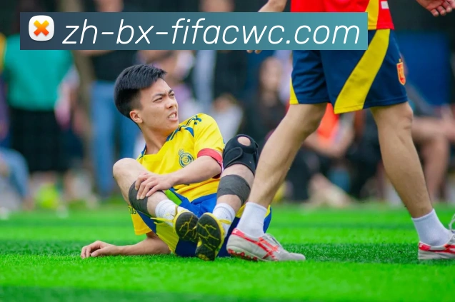 多媒体互动体验