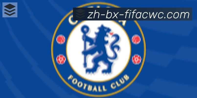 世界杯在线观看合作伙伴